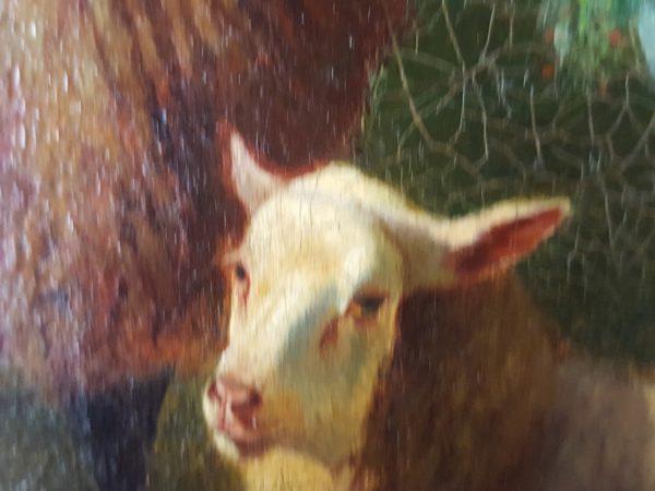 Shepherdess and her sheep - Image 5