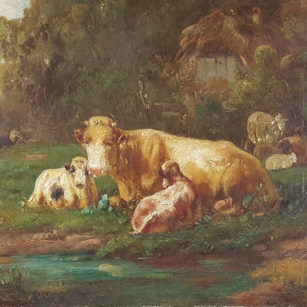 Cows and sheep on pasture