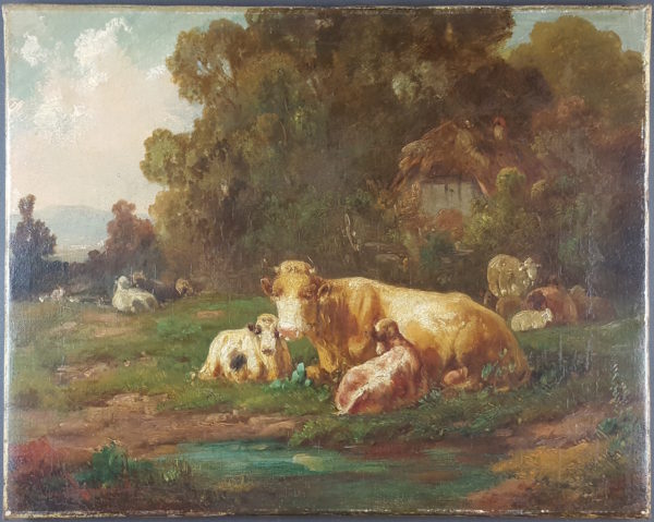 Cows and sheep on pasture - Image 2