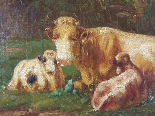 Cows and sheep on pasture - Image 3
