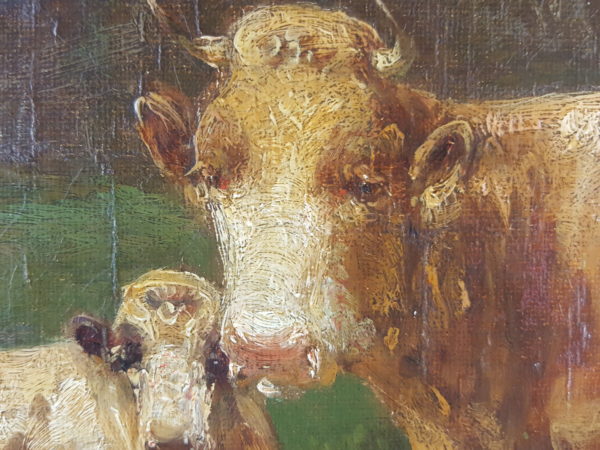 Cows and sheep on pasture - Image 4