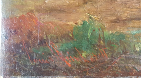 Cows and sheep on pasture - Image 7