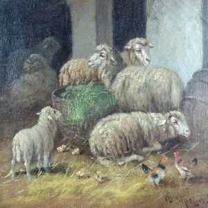 Sheep at the fold