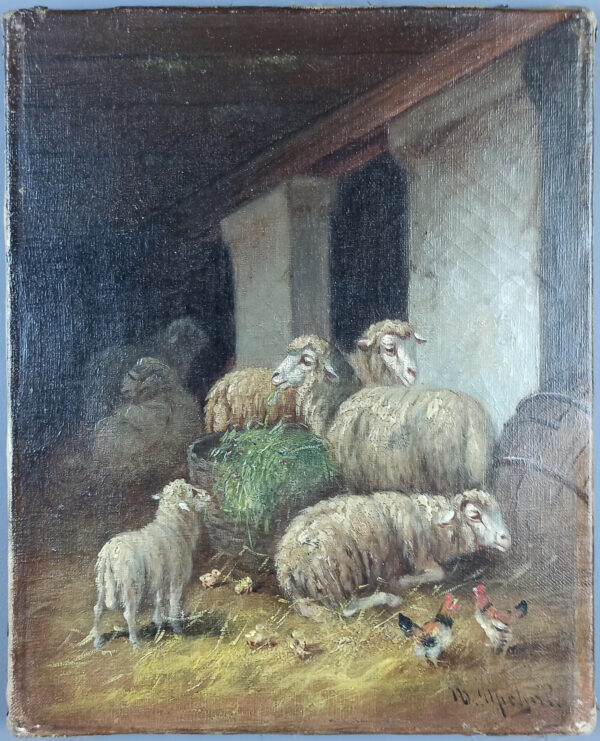 Sheep at the fold - Image 2
