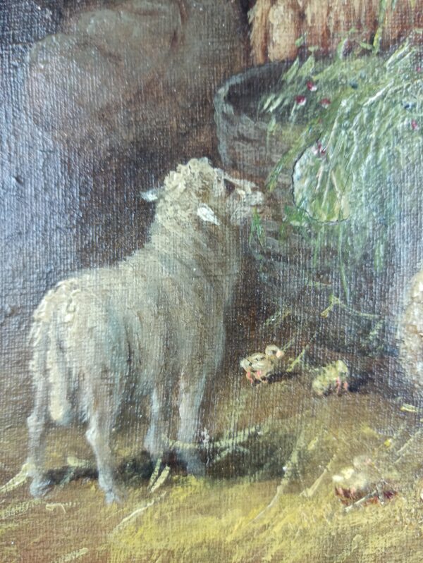 Sheep at the fold - Image 4