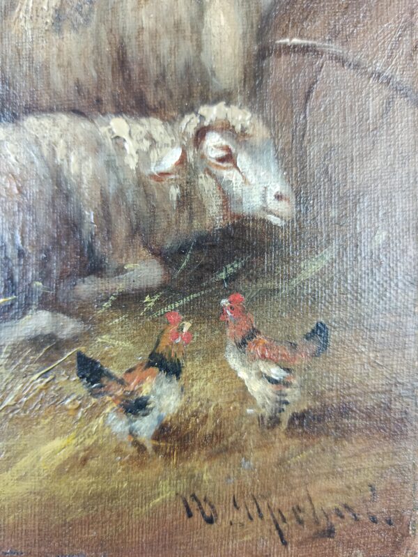 Sheep at the fold - Image 5