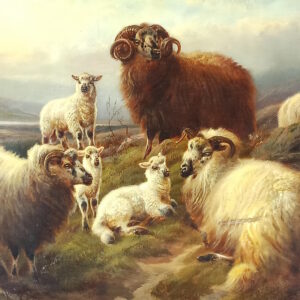 Sheep on a hillside