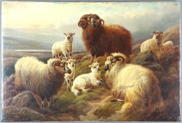 Sheep on a hillside - Image 2