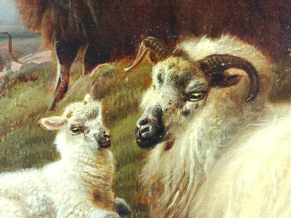 Sheep on a hillside - Image 3