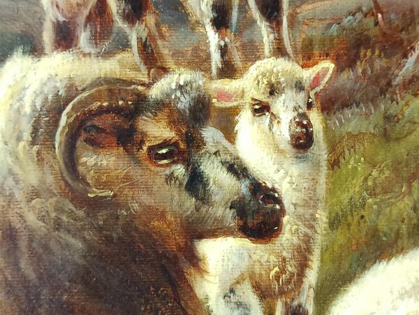 Sheep on a hillside - Image 6