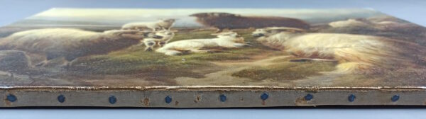 Sheep on a hillside - Image 9