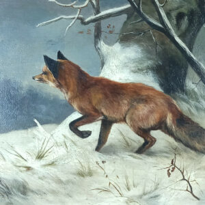 Fox in winter