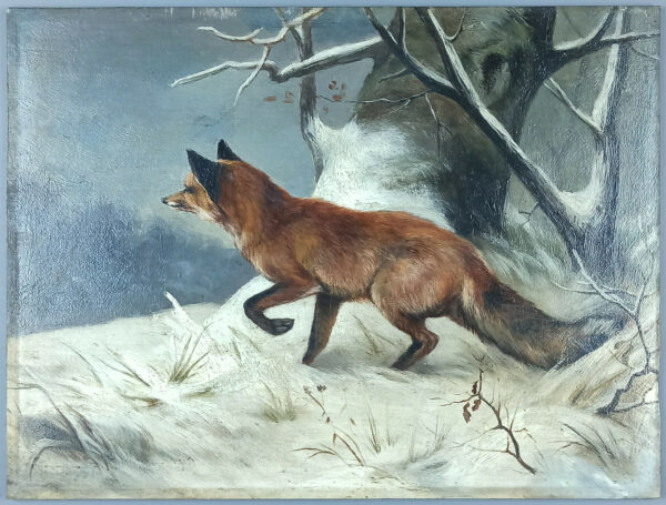 Fox in winter - Image 2