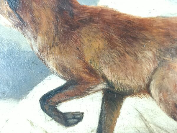 Fox in winter - Image 4