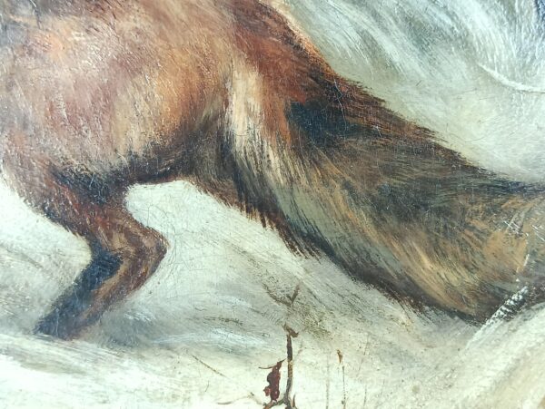 Fox in winter - Image 5